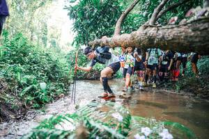 BIB: 
                            <button type="button" onclick="openModal(25471374)" class="btn btn-primary btn-sm float-right btn-popup" data-toggle="modal" data-target=".modal-high-quality">
                        <i class="fas fa-shopping-cart"></i> Add to Cart
                    </button>
                                            <button type="button" onclick="isThisMe(25471374, true)" class="btn btn-success btn-sm float-right btn-popup btn-isme hidden" data-toggle="tooltip" data-placement="bottom" title="นี่คือรูปของคุณใช่ไหม คลิกที่นี่เพื่อเอาเข้าอัลบั้ม">
                        <i class="fas fa-plus"></i> Add to album
                    </button>
                    <button type="button" onclick="isThisMe(25471374, false)" class="btn btn-warning btn-sm float-right btn-popup btn-isnotme hidden">
                        <i class="fas fa-ban"></i> Remove from album
                    </button>